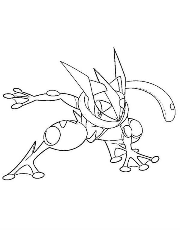 Froakie покемон