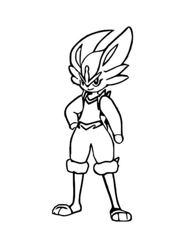 Scream Tail Pokemon