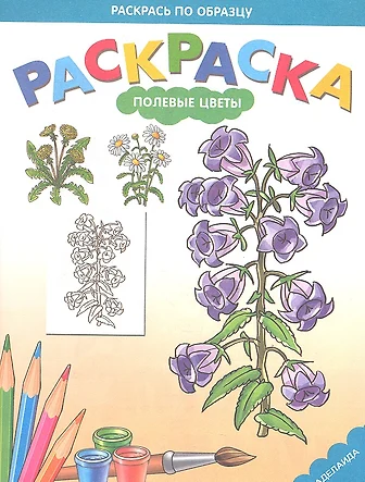 Раскраска. Лето