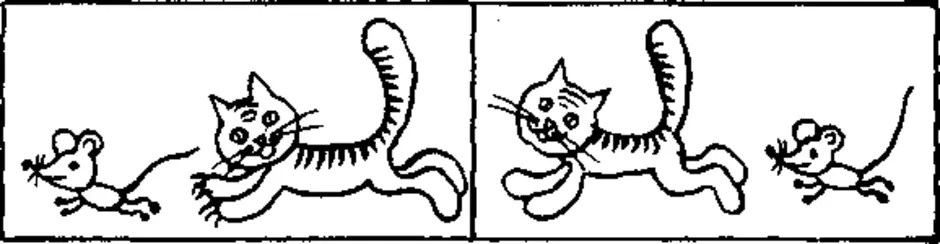 Раскраска кот
