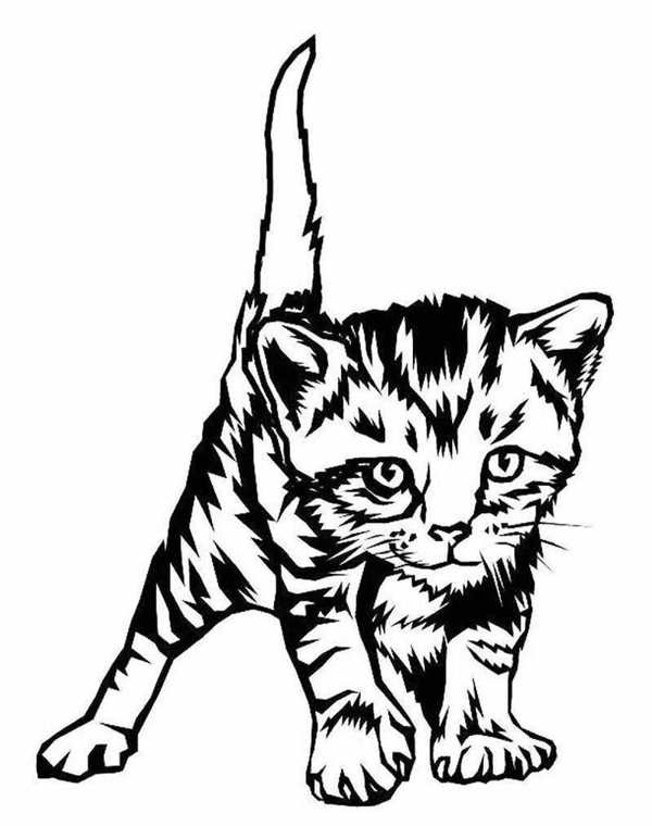 Рисунок котенка для раскрашивания