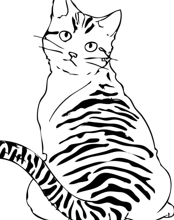 Кошки. Раскраска