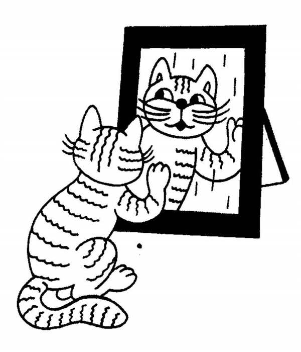 Раскраска кот