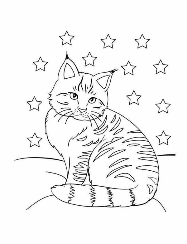 Раскраска. Котики