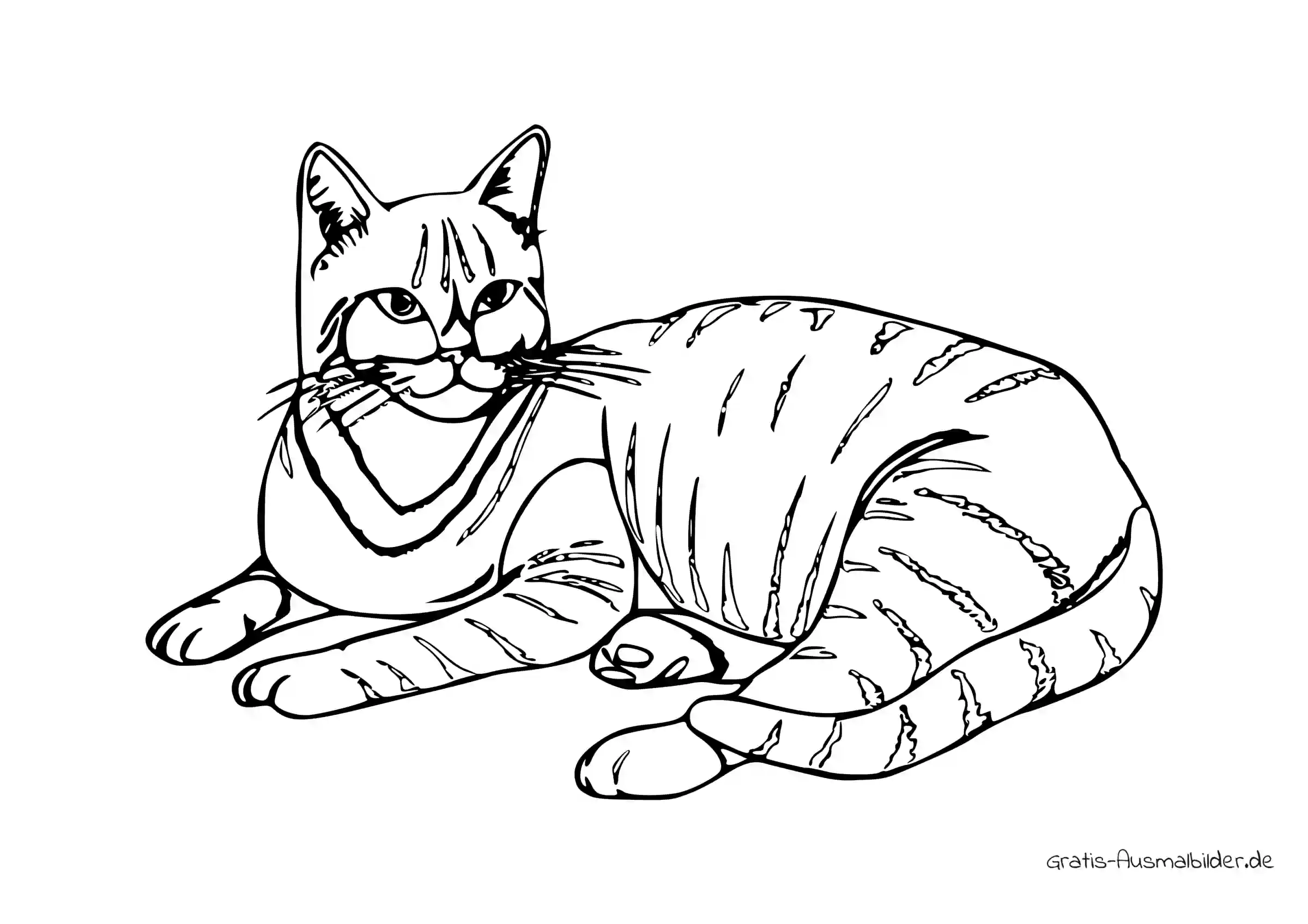 Кошка полосатая раскраска