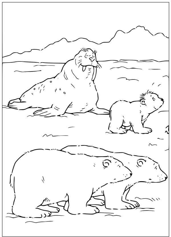 Умка раскраска для детей