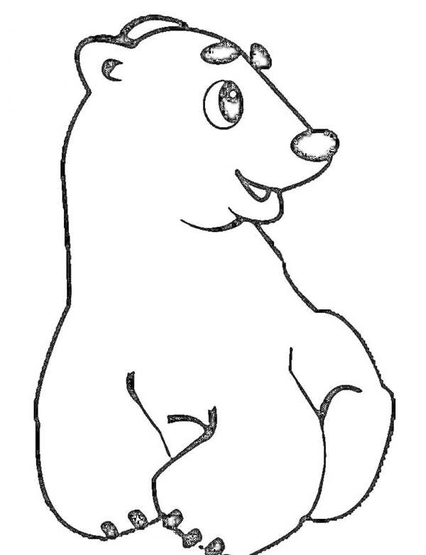 Белый медведь раскраска