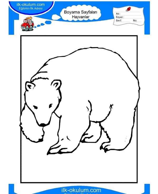 Медведь раскраска