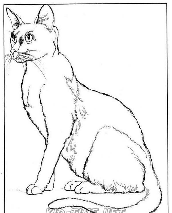 Кошки. Раскраска