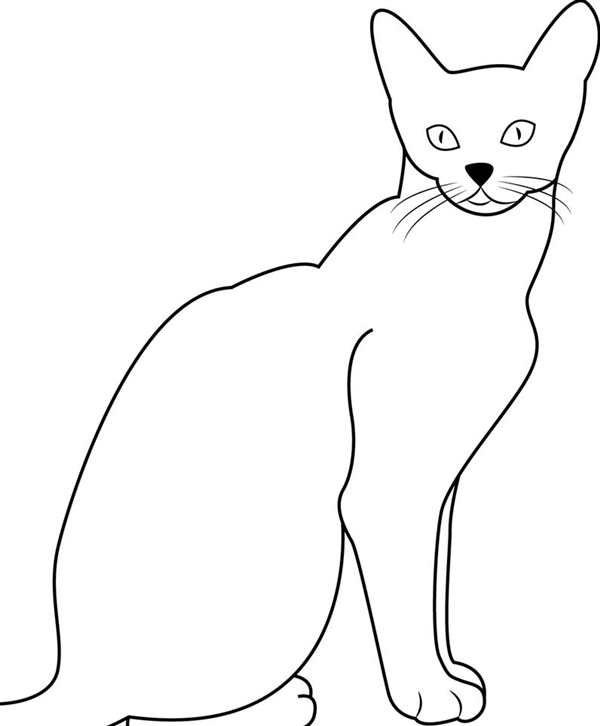 Рисунок кошка разные породы