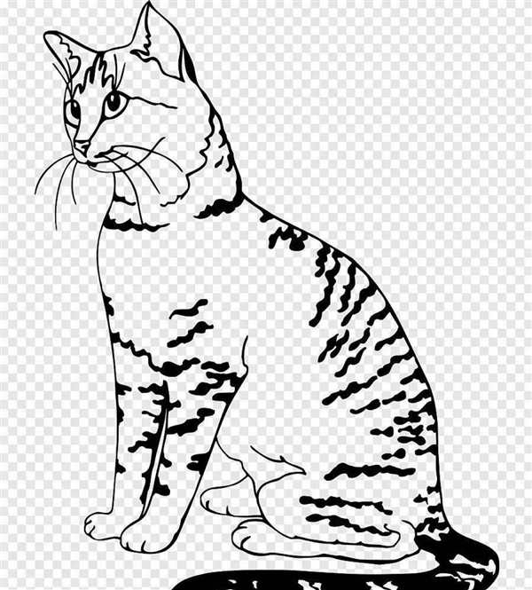 Раскрас Бенгальская кошка