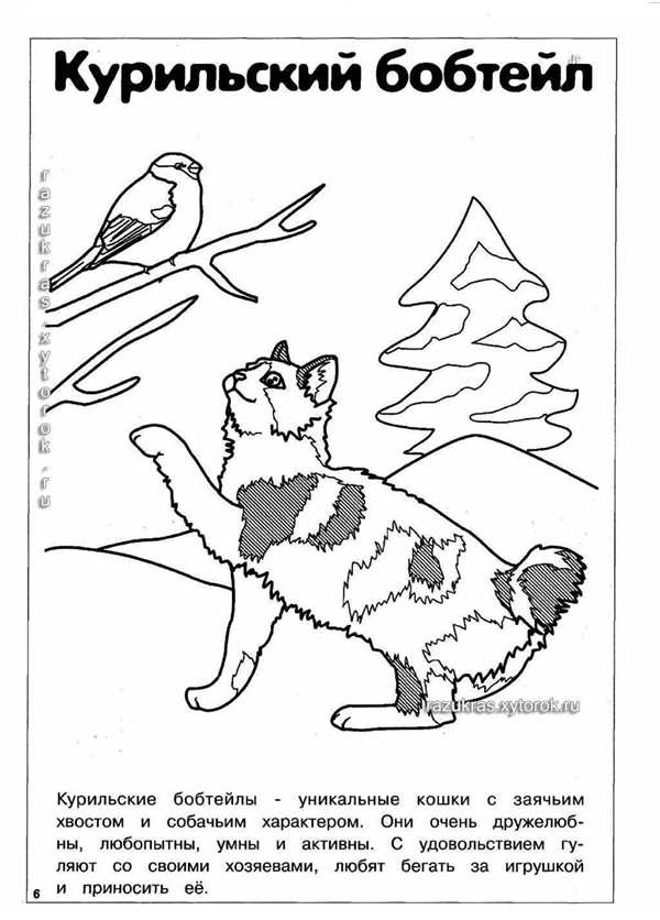 Кошки. Раскраска