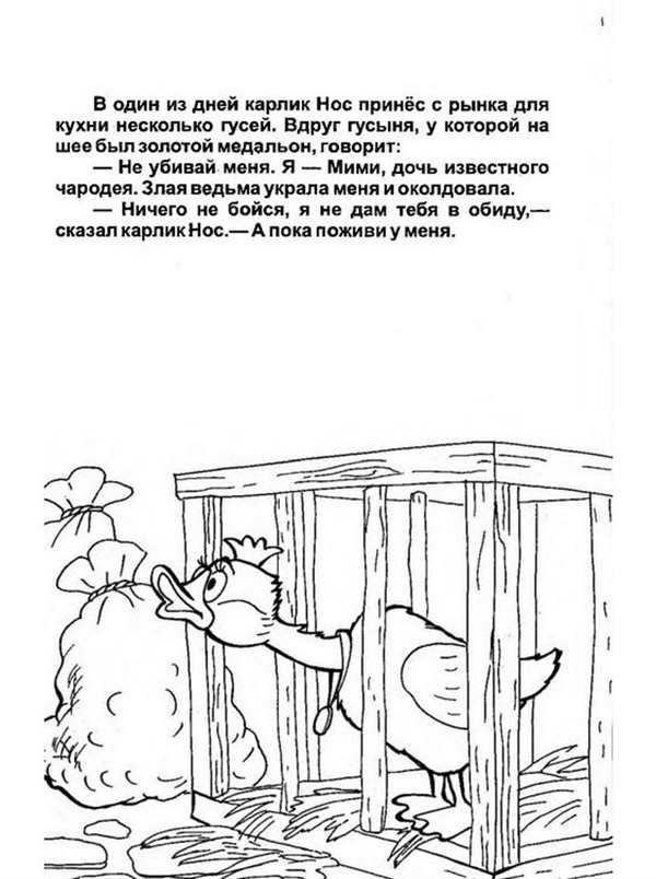 Рисунок к сказке Гауфа карлик нос