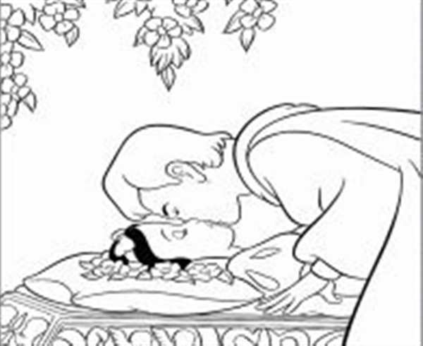 Раскраски Диснеевские принцессы и принцы