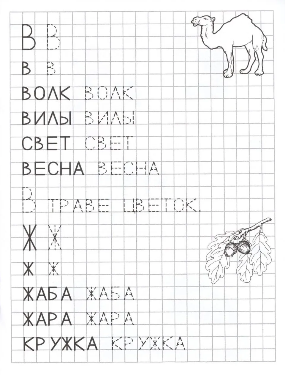 Прописи печатные буквы для детей 6-7 лет алфавит