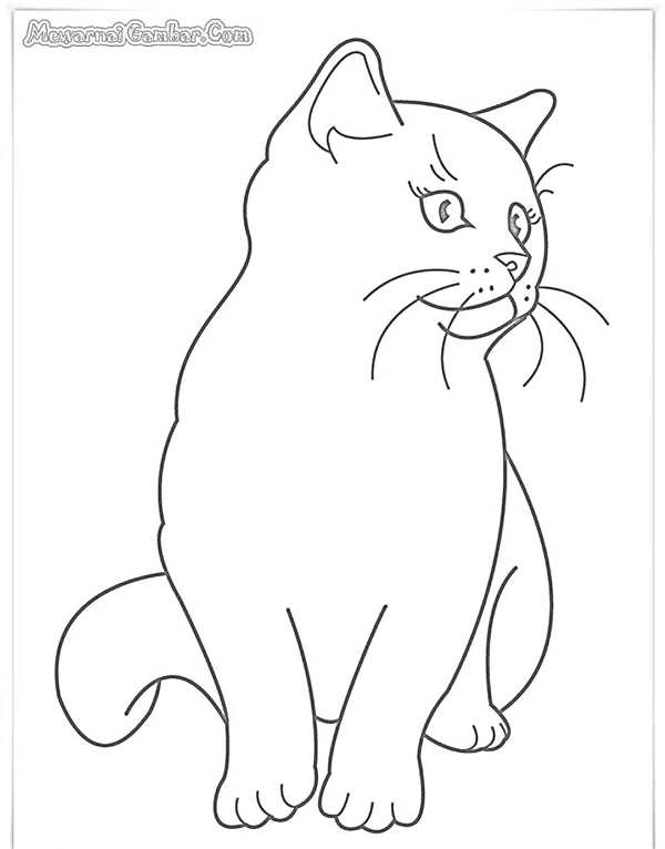 Котенок раскраска для малышей