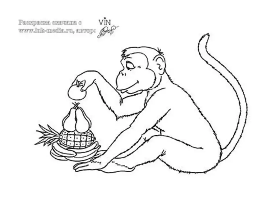 Обезьянка раскраска