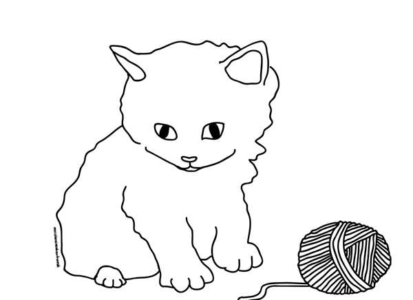 Раскраска. Котики