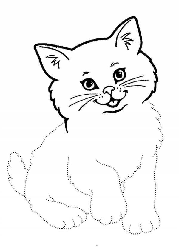 Котик раскраска для детей