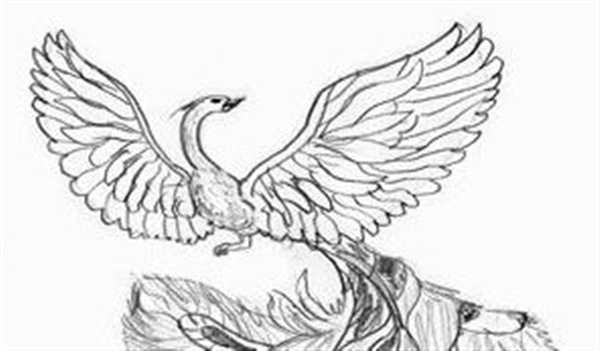 Птицы. Раскраска