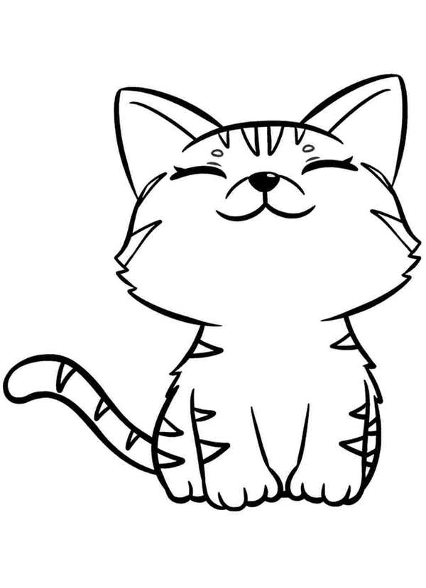 Раскраска кот