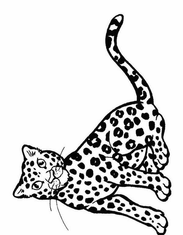 Кошка раскраска для детей