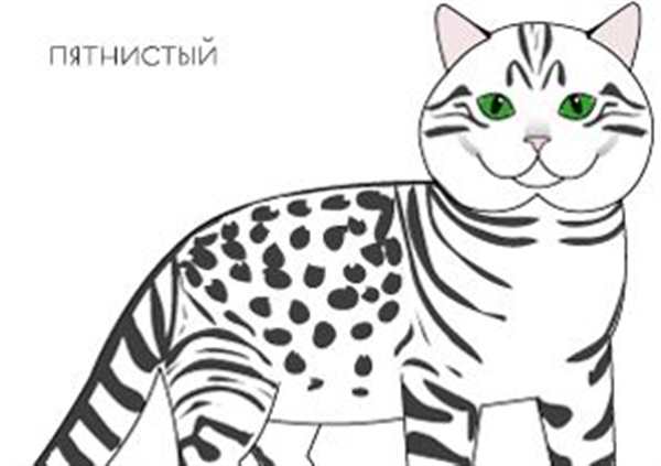 «Сервал»