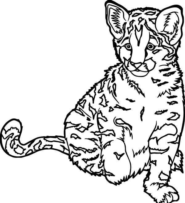Кошка иллюстрация