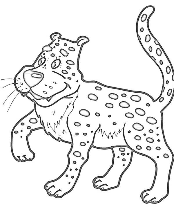Раскраска котики реалистичные