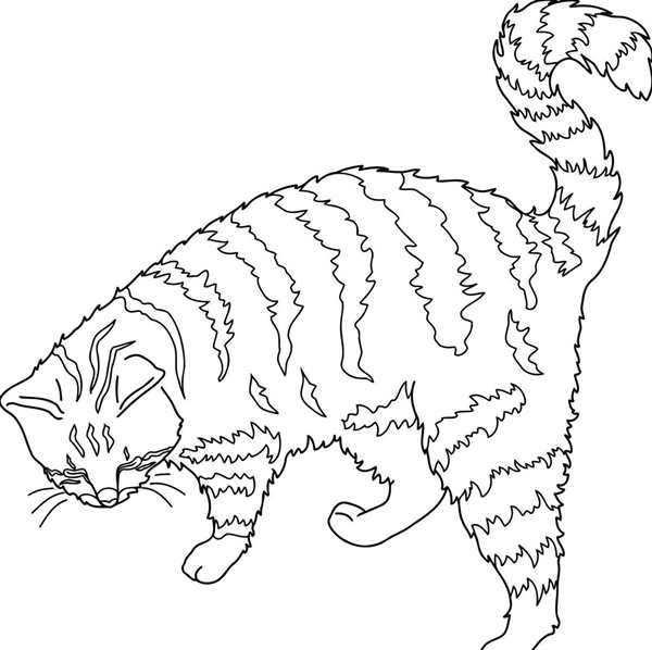 Раскраска Пятнистая Кошка