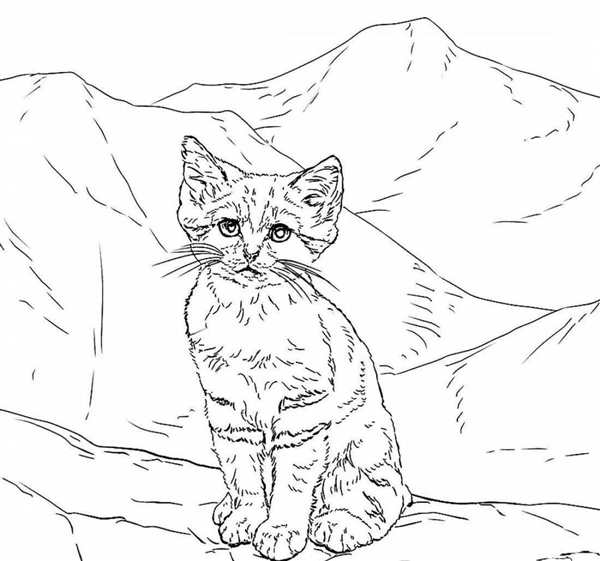 Раскраска Пятнистая Кошка