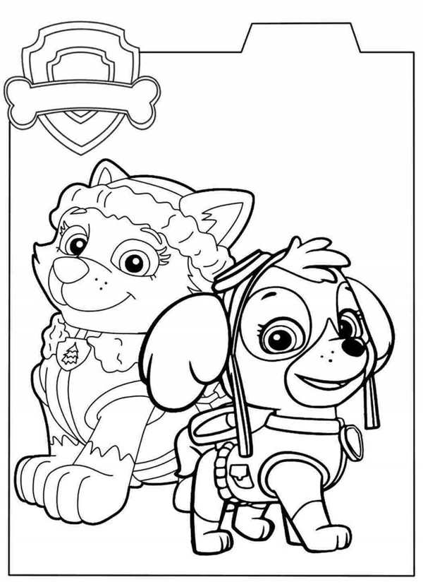 Paw Patrol раскраска Скай