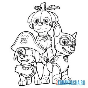 Райдер Щенячий патруль раскраска