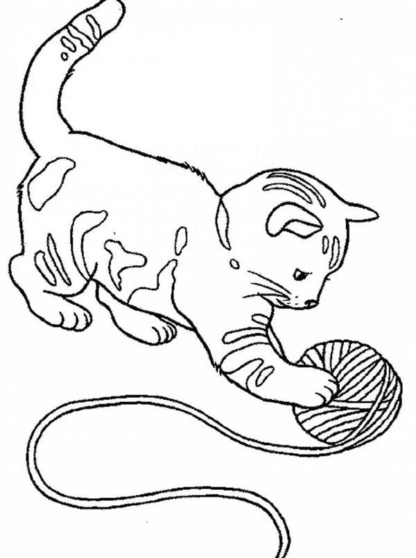 Кот Саймон
