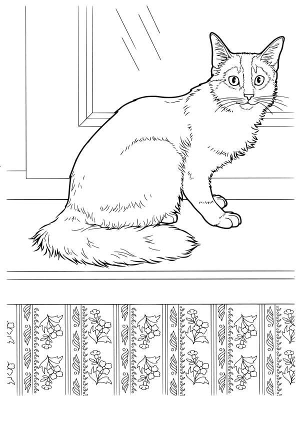 Раскраска. Котики