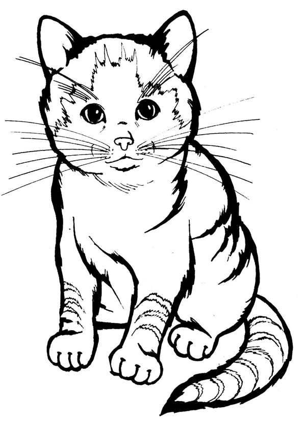 Кошки. Раскраска
