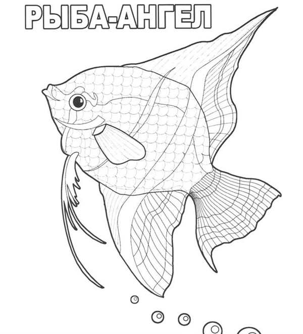 Рыбка рисунок