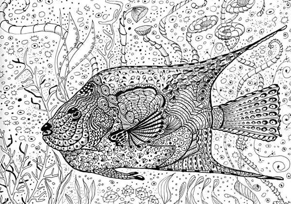 Морские рыбы раскраска