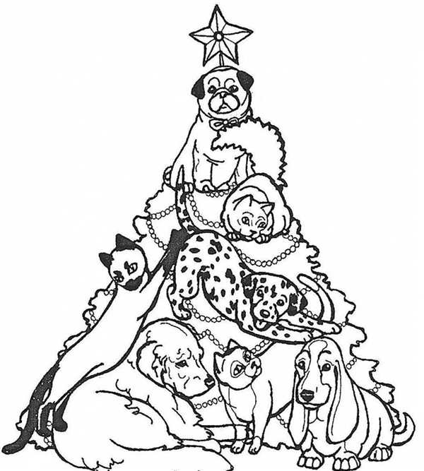 Раскраска кошечка