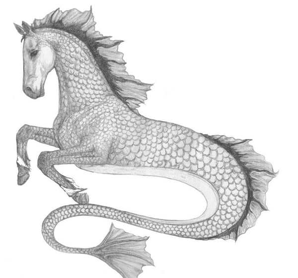 Разукрашки пони русалки