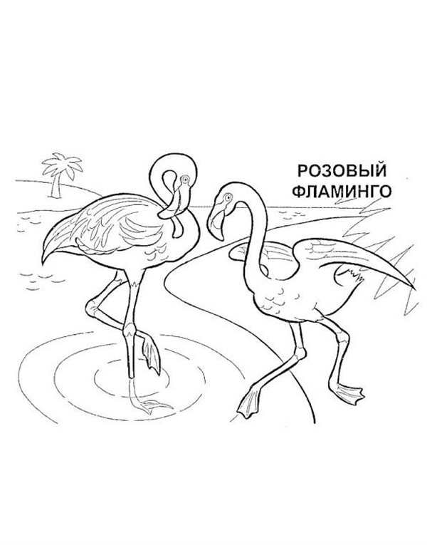 Раскраска с Фламинго и Рыбкой