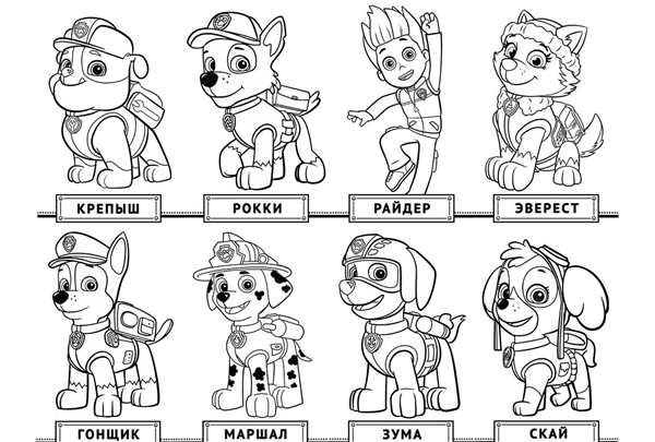 Гончикраскраска Щенячий патруль