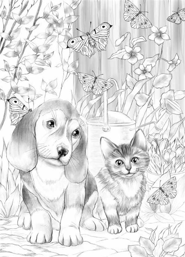 Рисунки для раскраски