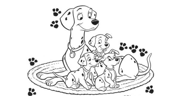 Разукрашка кошки и собаки