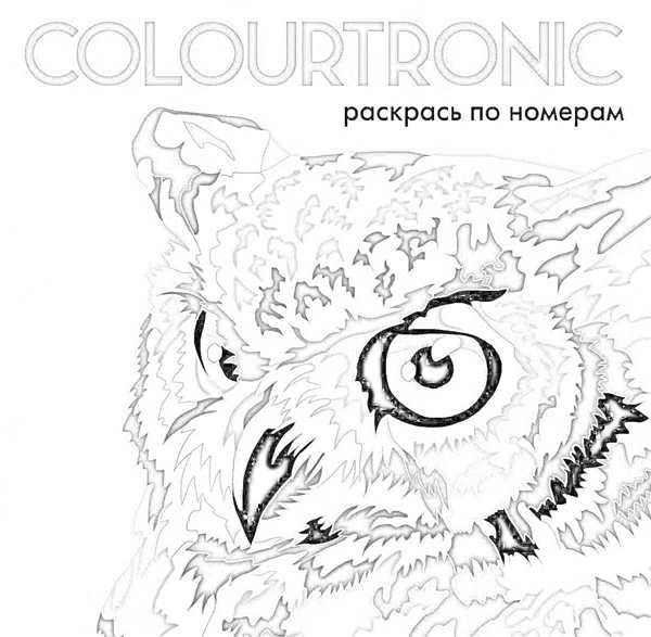 Рисунок Сова с книгой