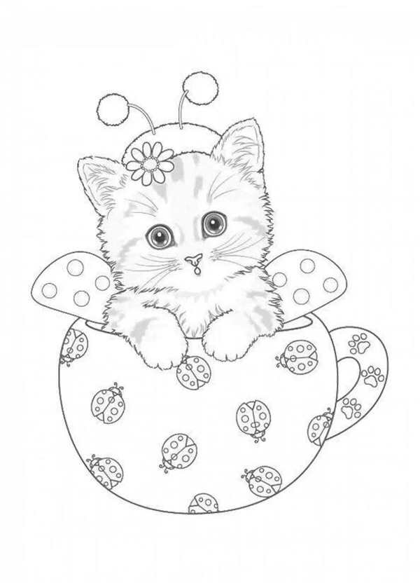Раскраска. Котики