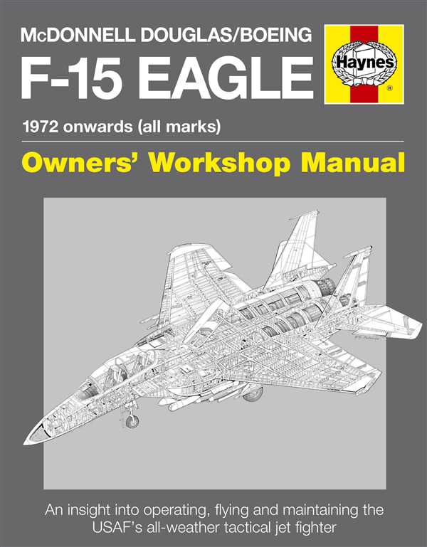 Раскраска самолёта F15 Игла МакDonnell Douglas