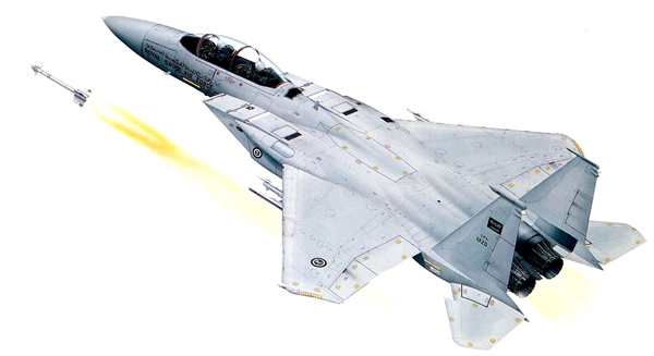 Раскраска самолёта F15 Игла МакDonnell Douglas