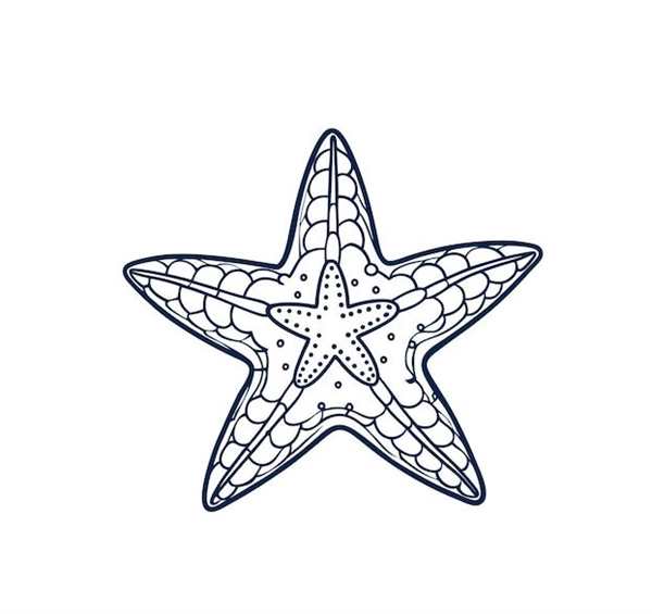 Раскраска морскиизвезды