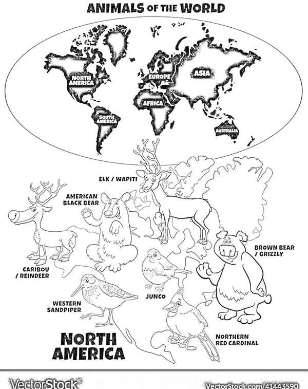 Раскраска Северная Америка